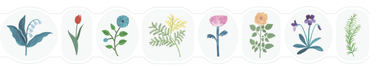 SODA transparent Masking Tape 1.2" Shaped / Wildflower