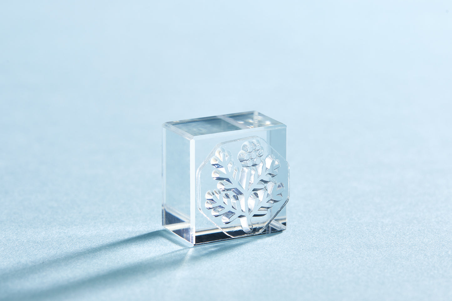 KORI JIRUSHI Crystal clarity stamp - 6 Set Box (Flower set)