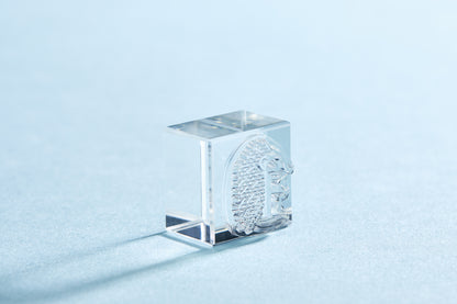 KORI JIRUSHI Crystal clarity stamp - 6 Set Box (Animal Set)